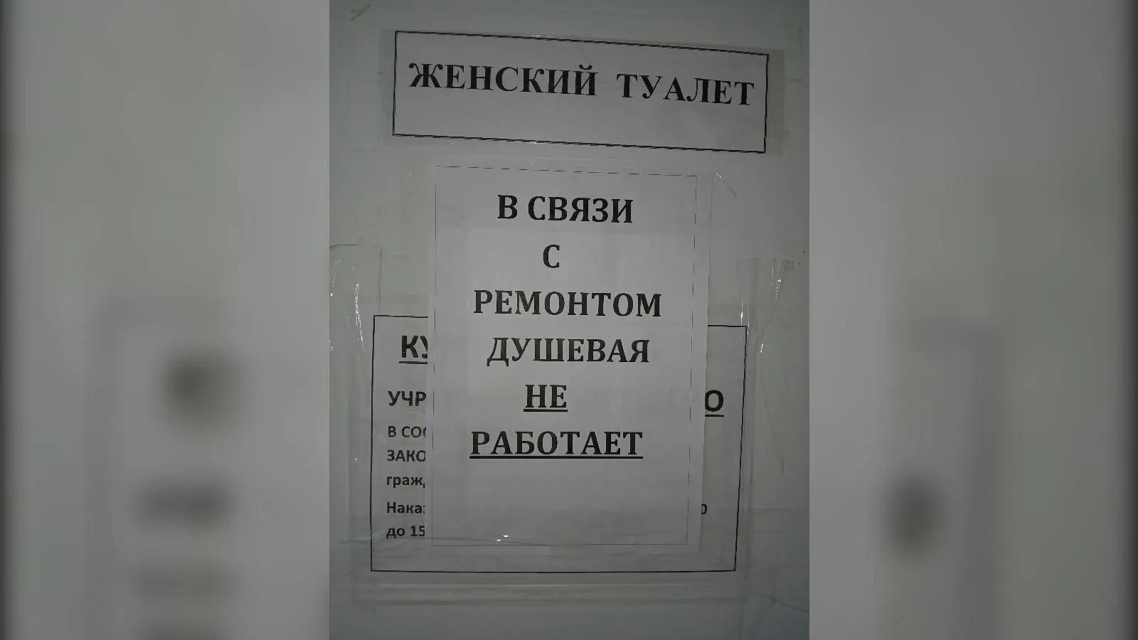 предоставлено собеседницей