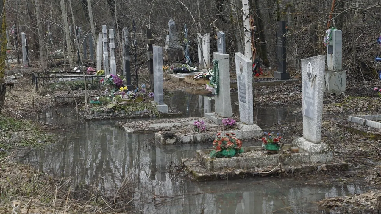 Самосыровское кладбище. «Челны Live» \ Екатерина Волкова