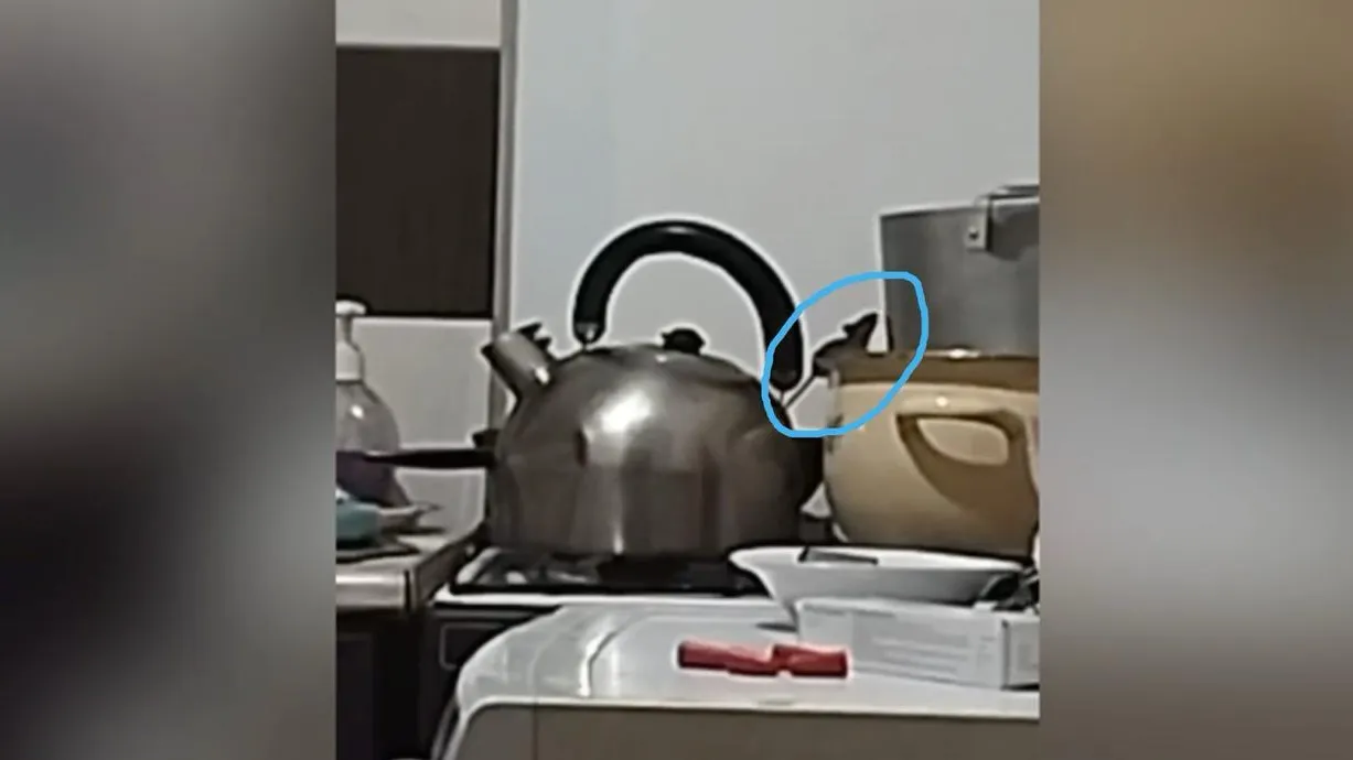 Скриншот видео, предоставленного жителями