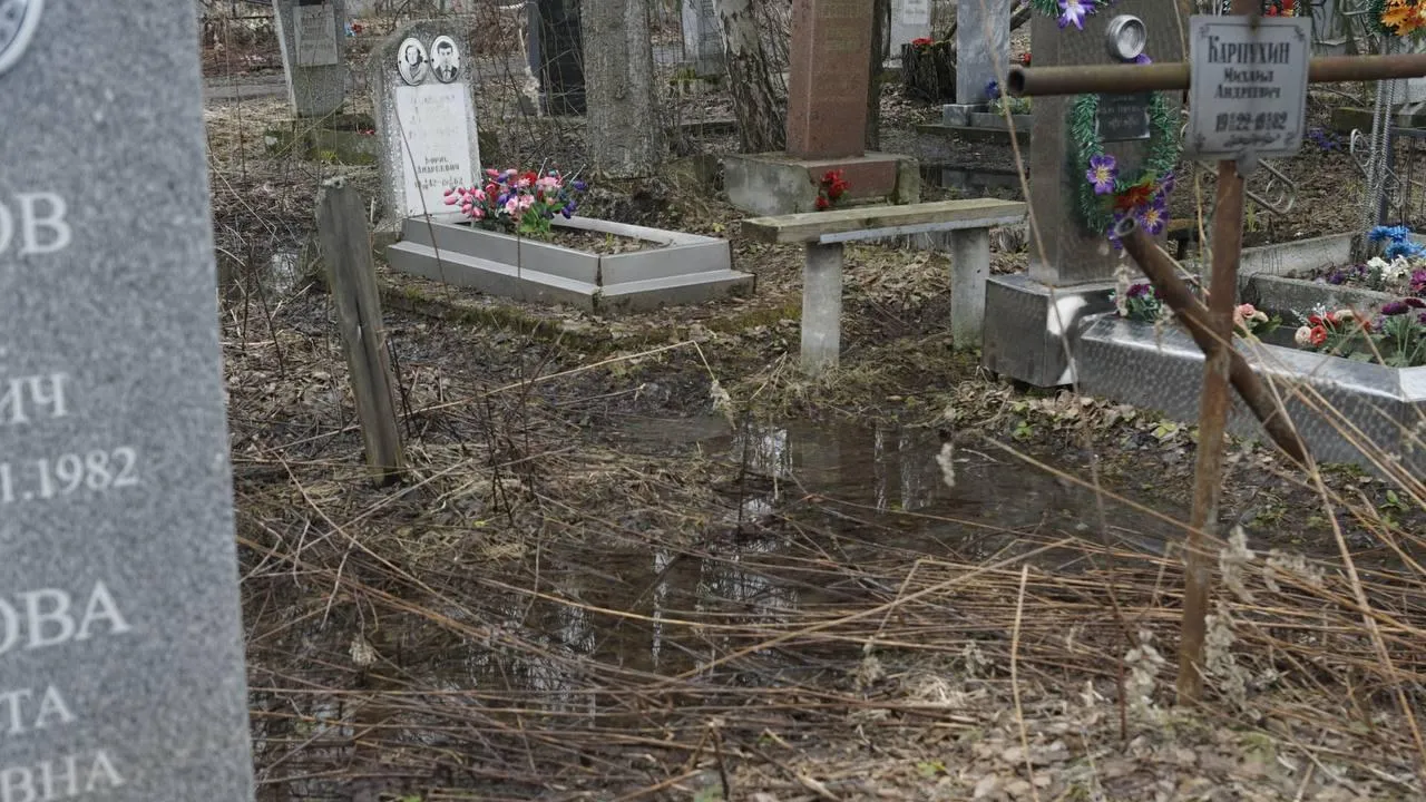 Самосыровское кладбище. «Челны Live» \ Екатерина Волкова