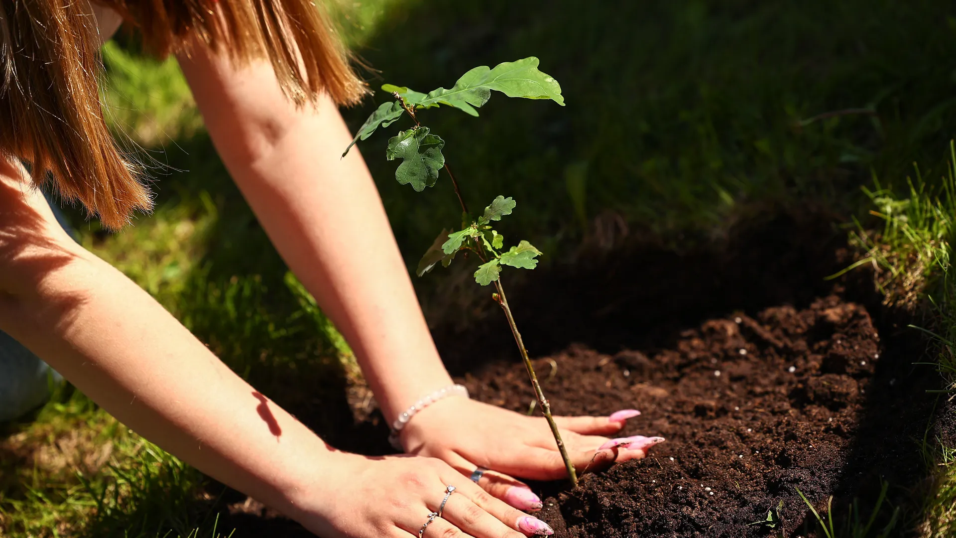 Медиасток.рф