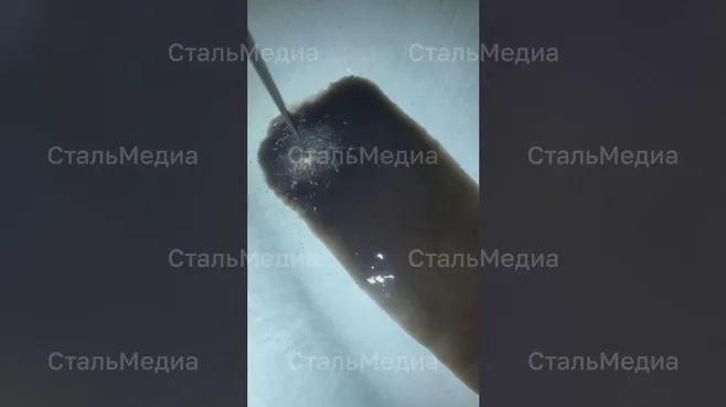 Предоставлено читательницей