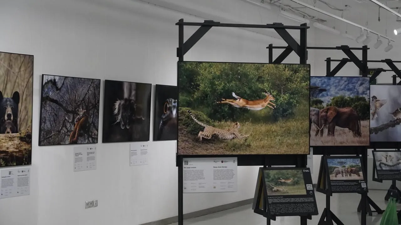 «Челны Live» / Екатерина Волкова