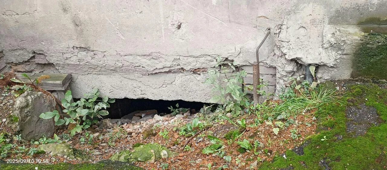 предоставлено собеседницей