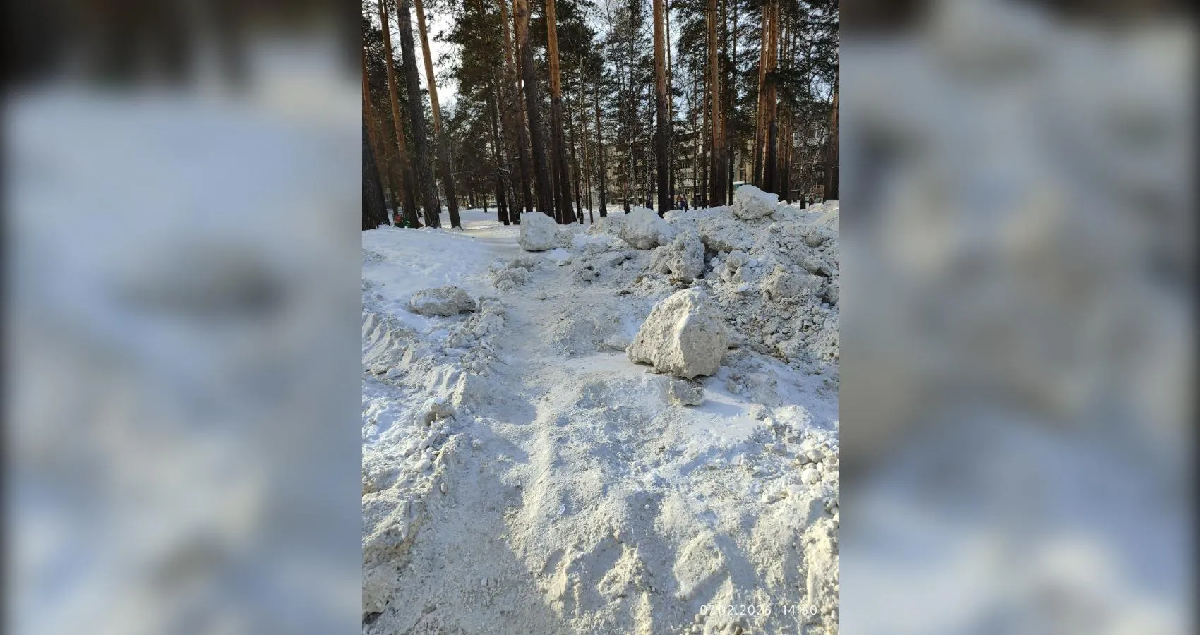 предоставлено собеседником