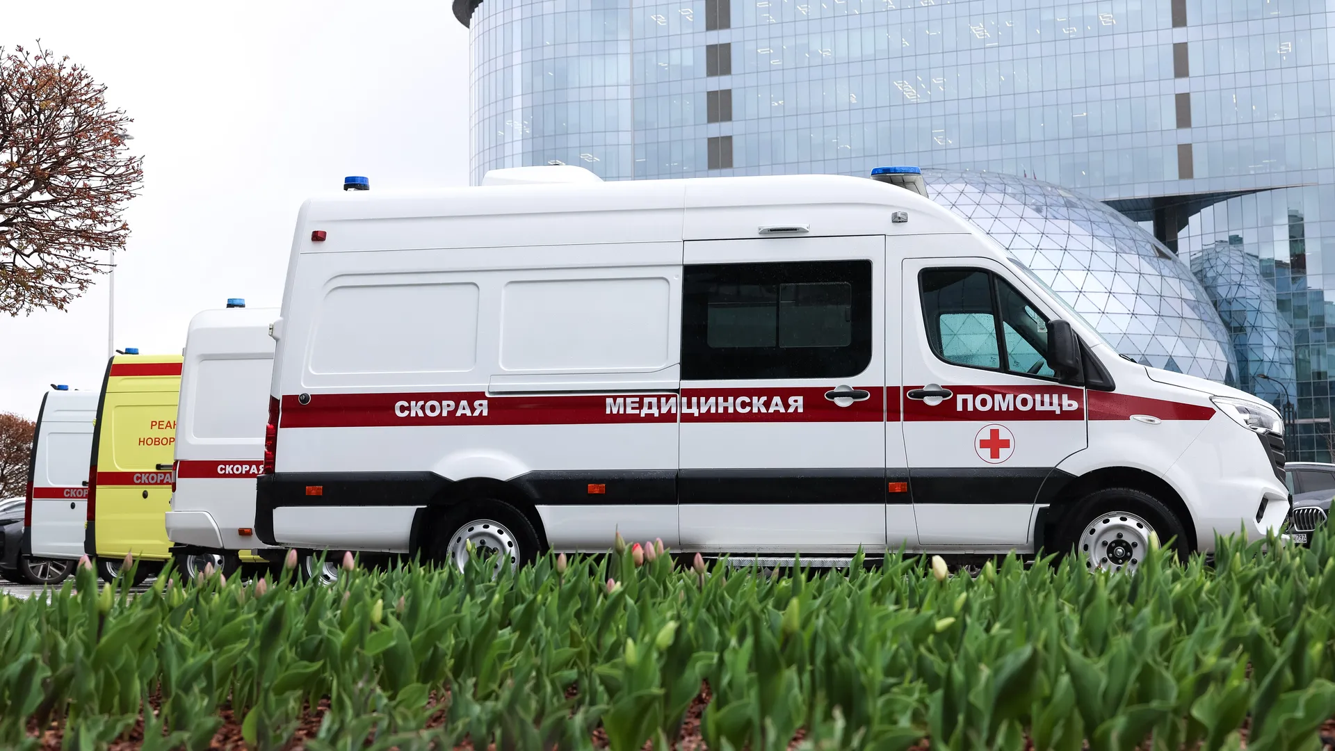 Медиасток.рф