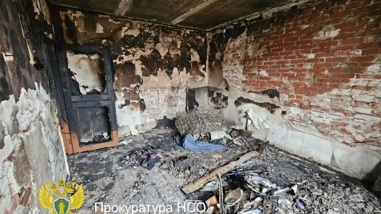 Прокуратура Новосибирской области