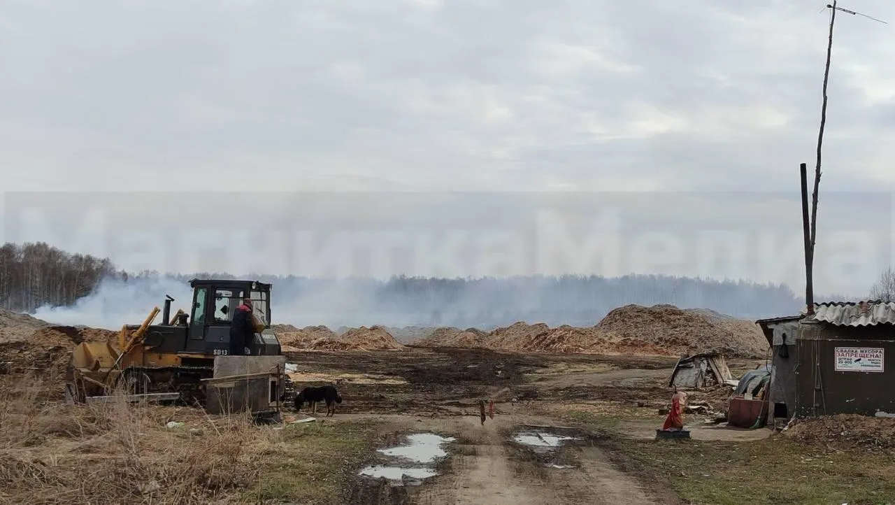 предоставлено собеседницей