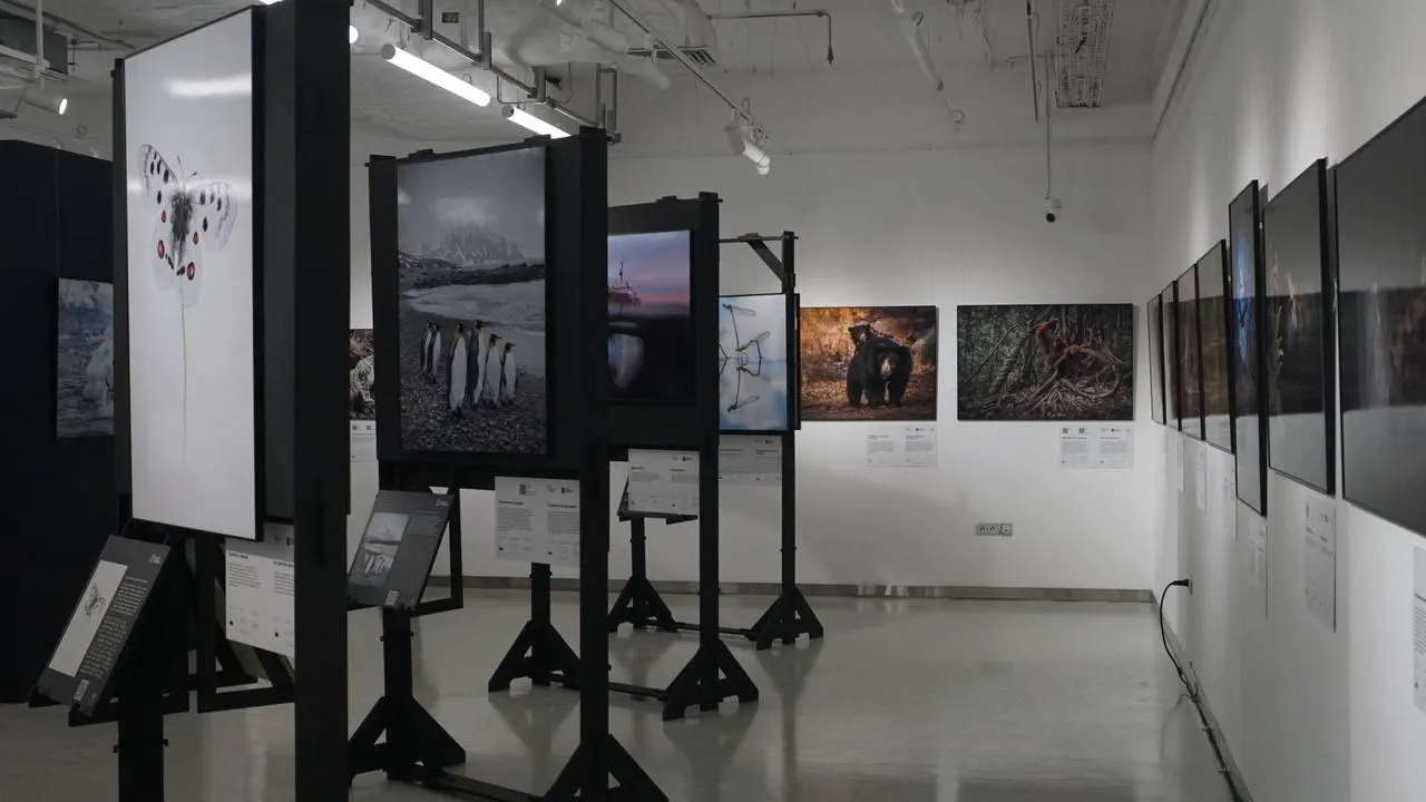 «Челны Live» / Екатерина Волкова