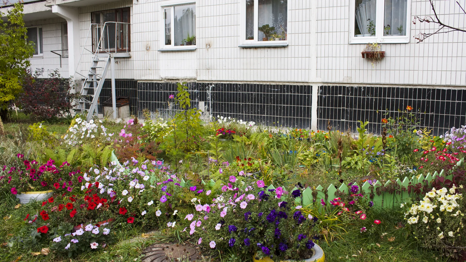 Придомовая территория в Черноголовке