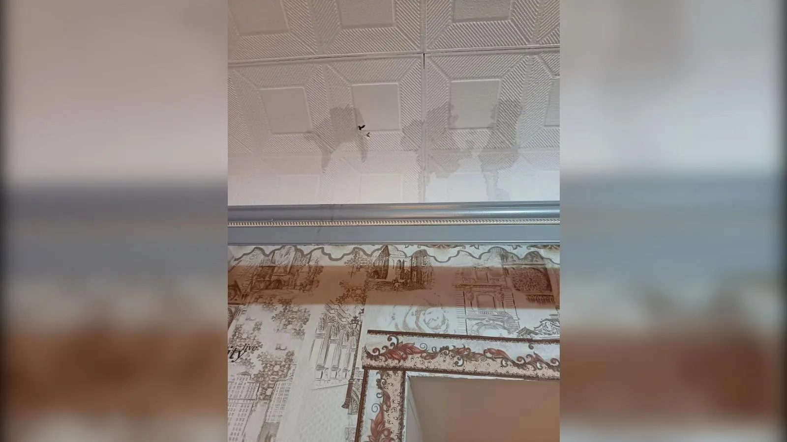 предоставлено собеседницей