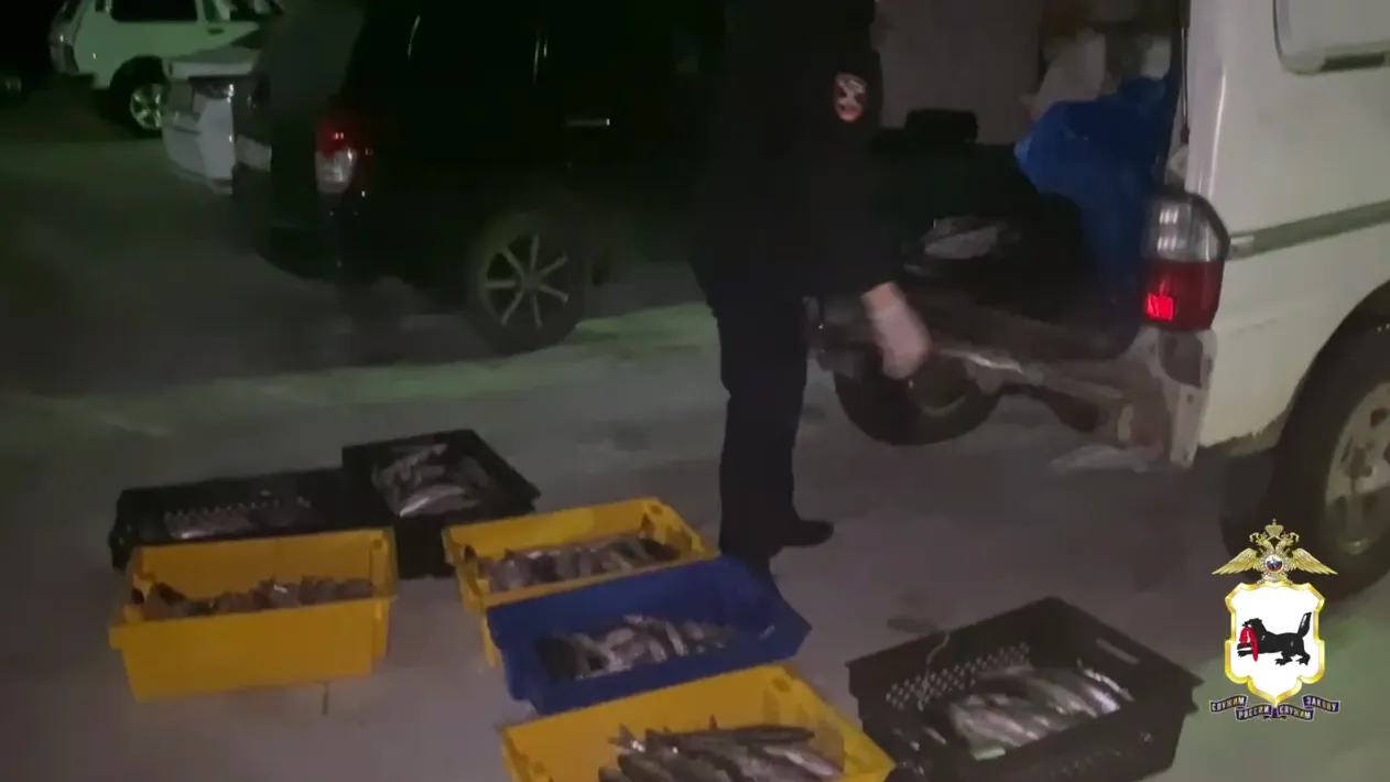 пресс-служба ГУ МВД по Иркутской области.