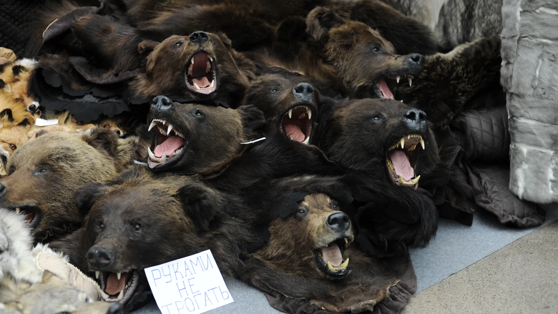 Медиасток.рф