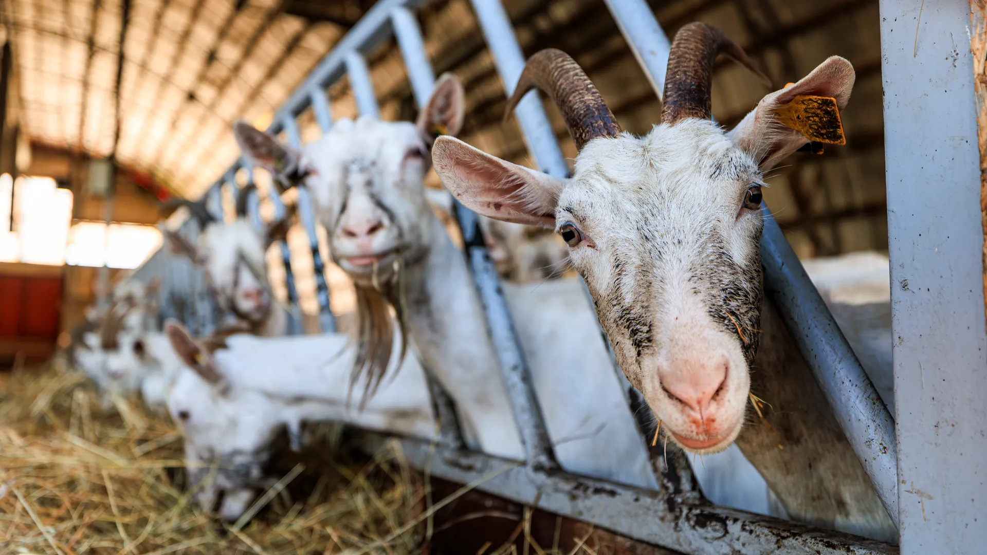 Медиасток.рф