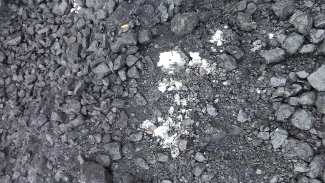 «СтальМедиа»