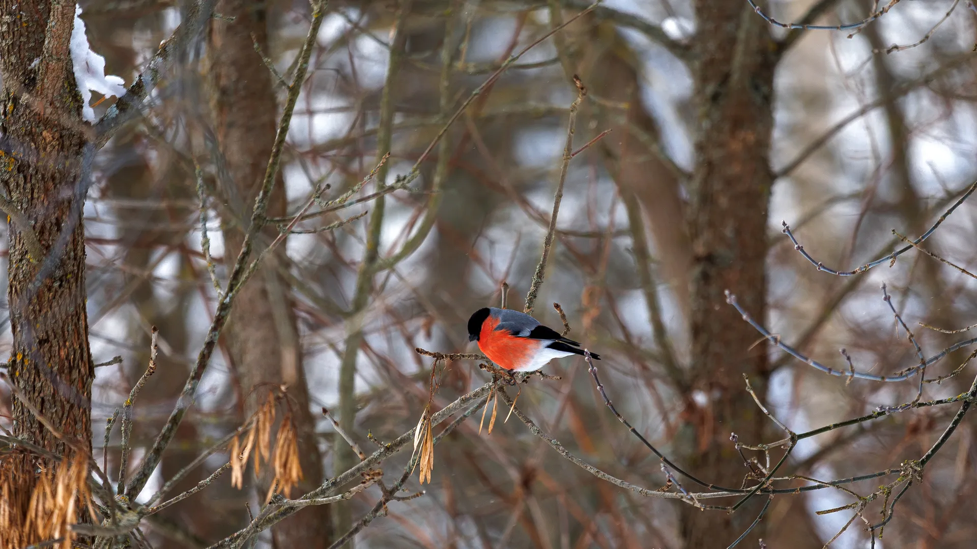 Медиасток.рф