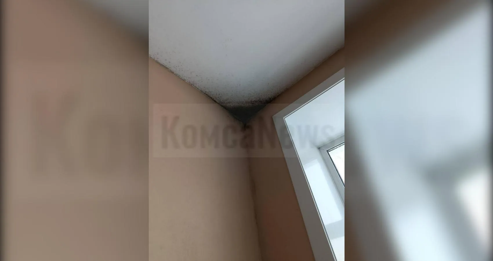 предоставлено собеседницей