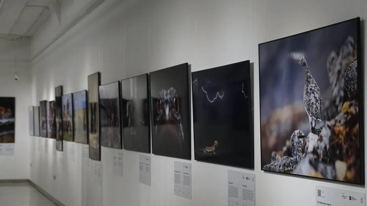 «Челны Live» / Екатерина Волкова