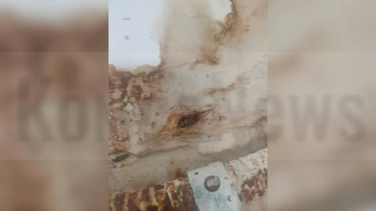 предоставлено собеседницей