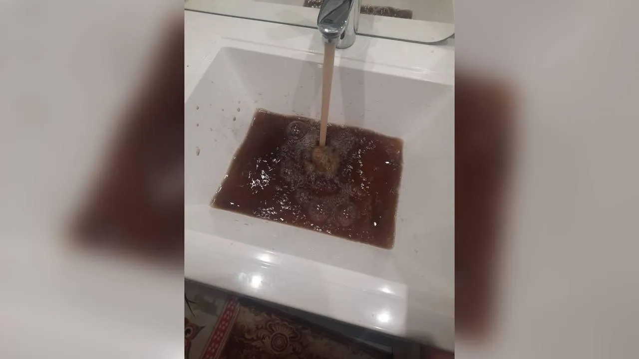 предоставлено собеседником