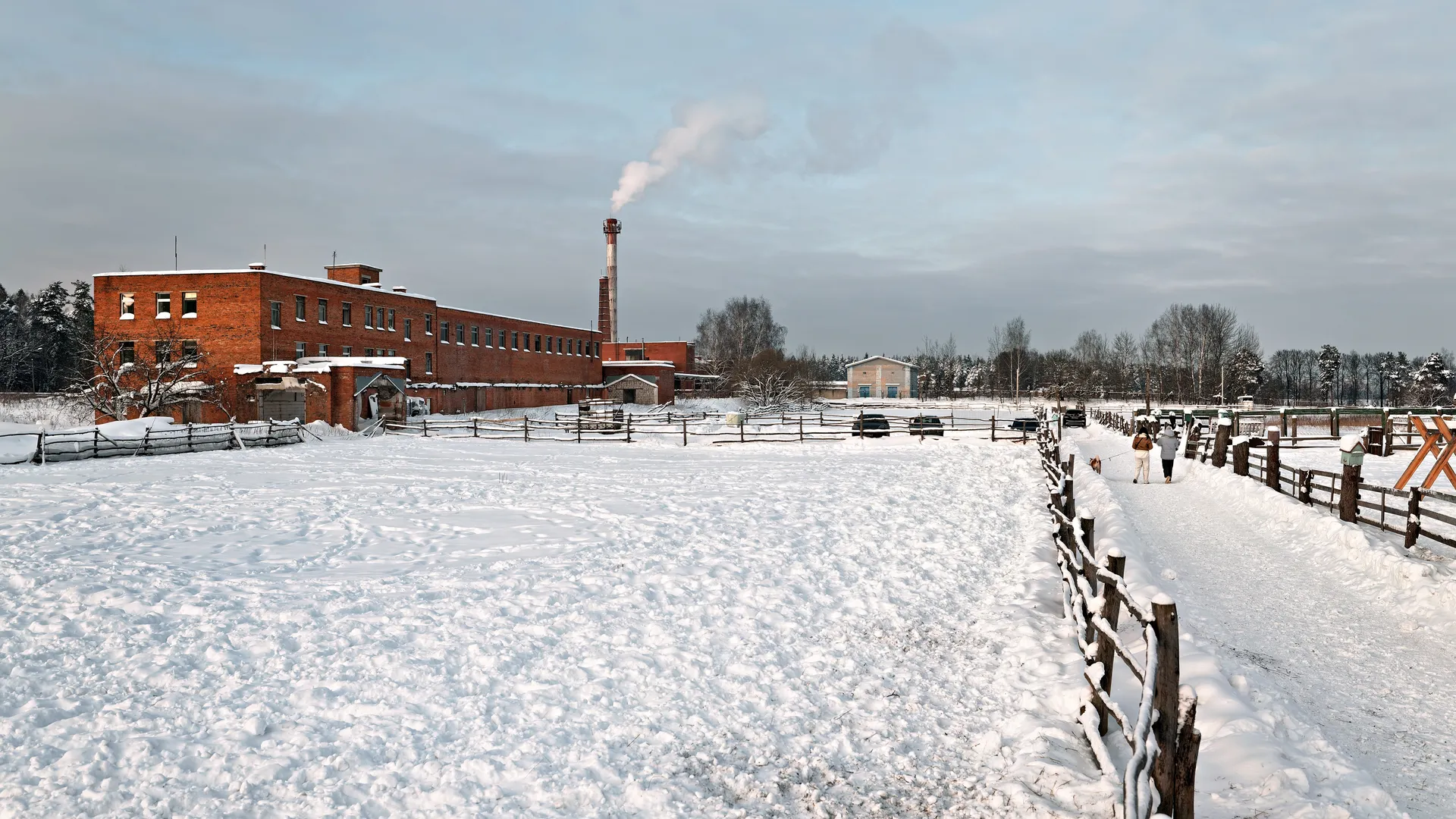 Питомник «Экзотик ферма» в поселке Назарьево Одинцовского округа