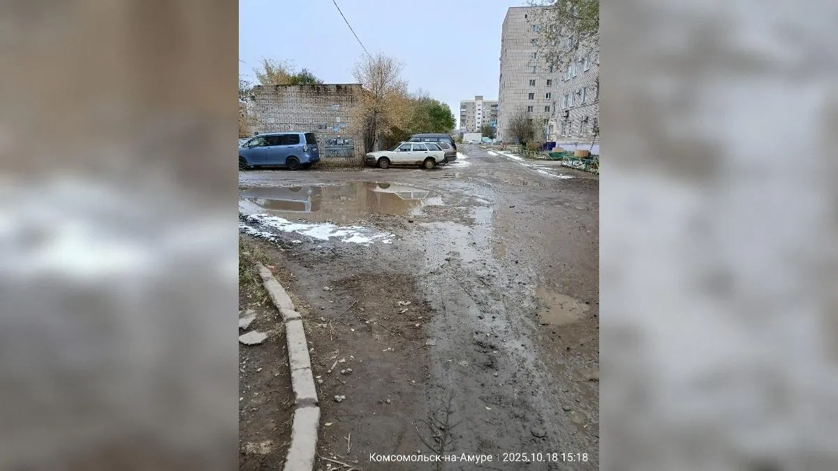 предоставлено собеседником