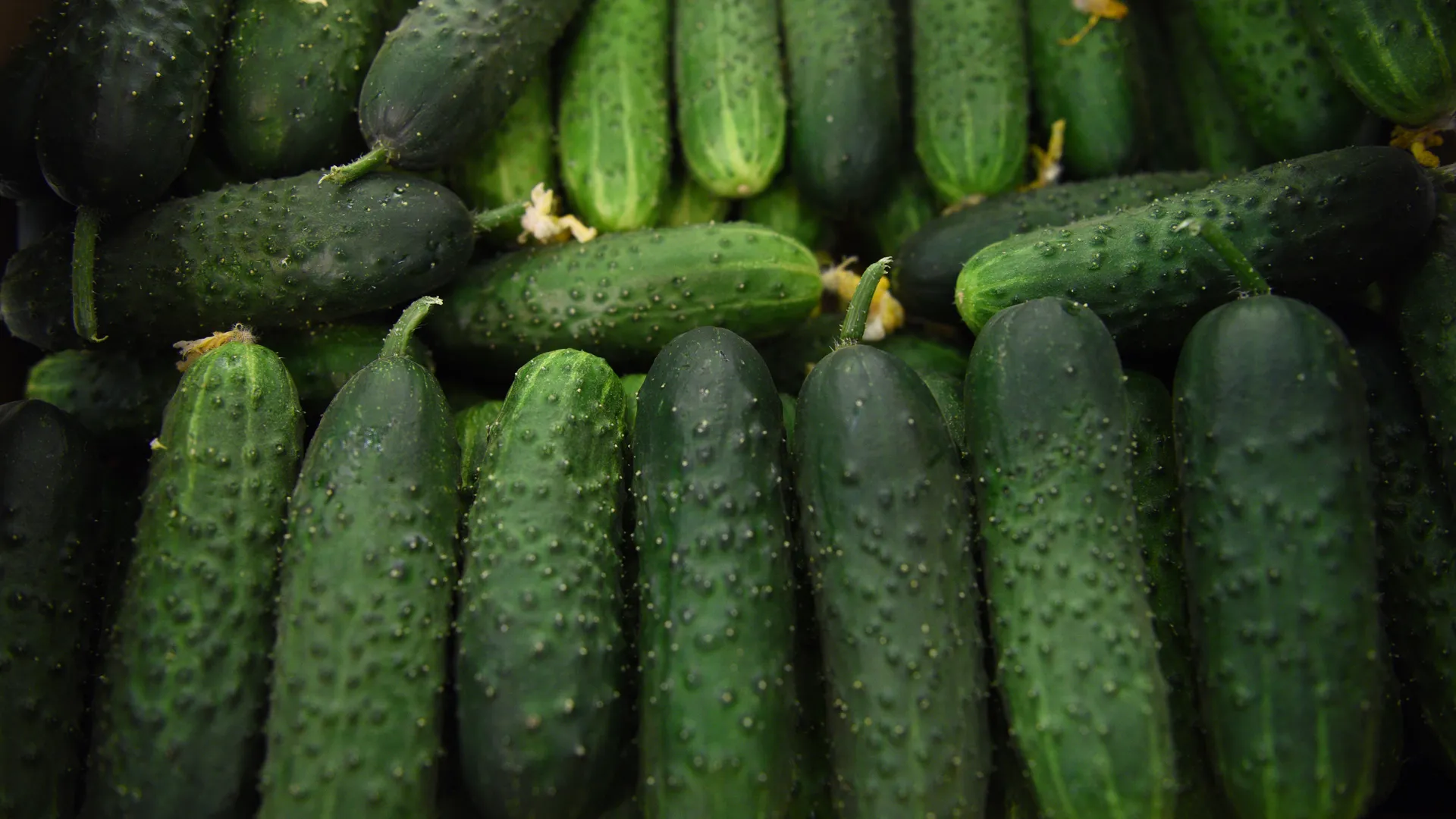 Медиасток.рф