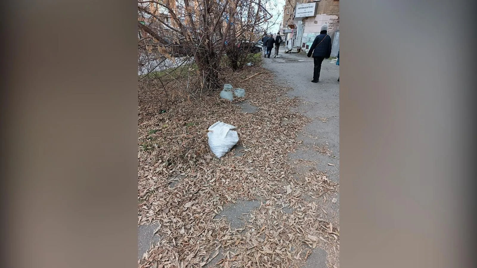 предоставлено собеседницей