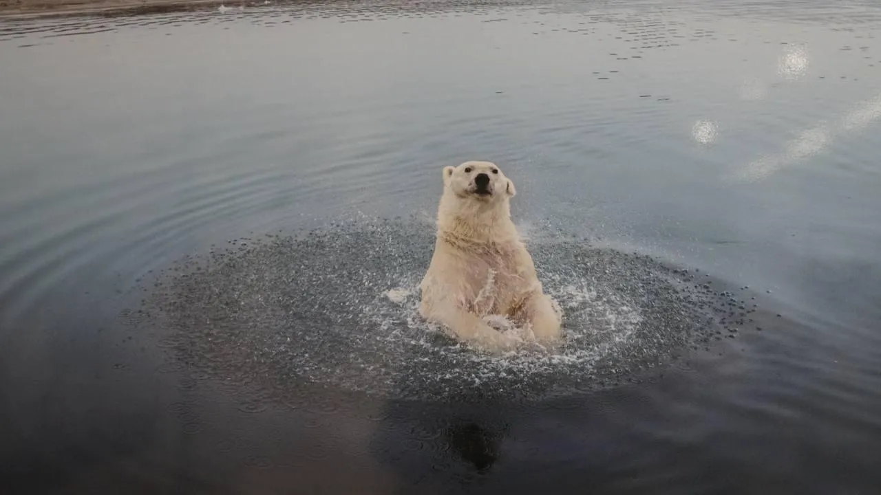 «Челны Live» / Екатерина Волкова
