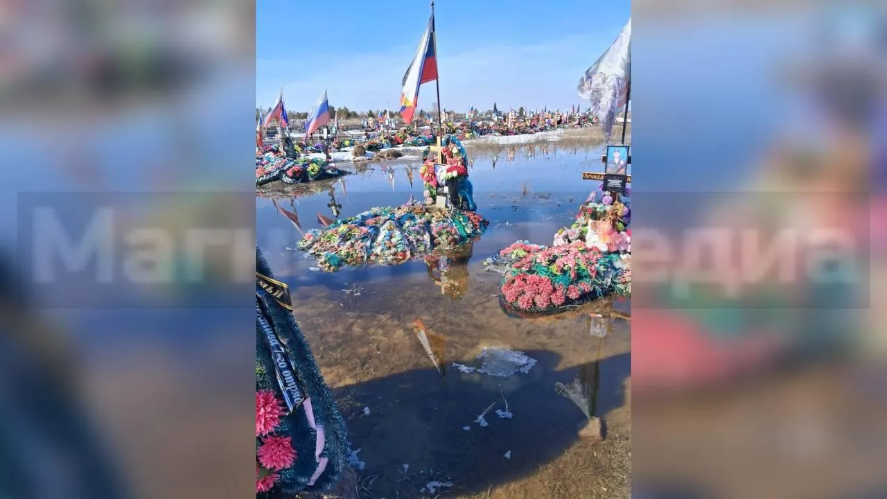 предоставлено собеседником