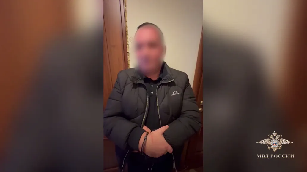скриншот видео, официальный представитель МВД Ирина Волк