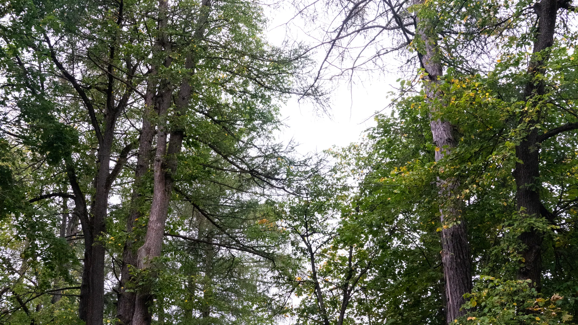 Медиасток.рф