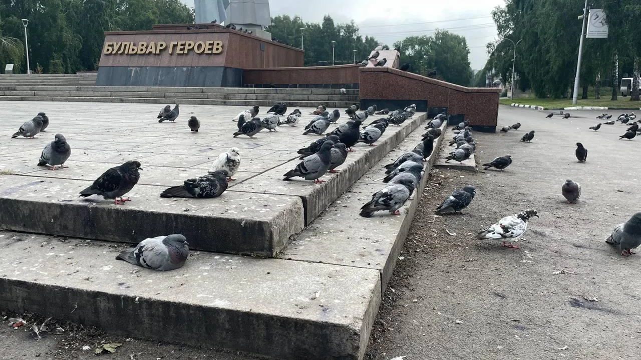 «СтальМедиа»
