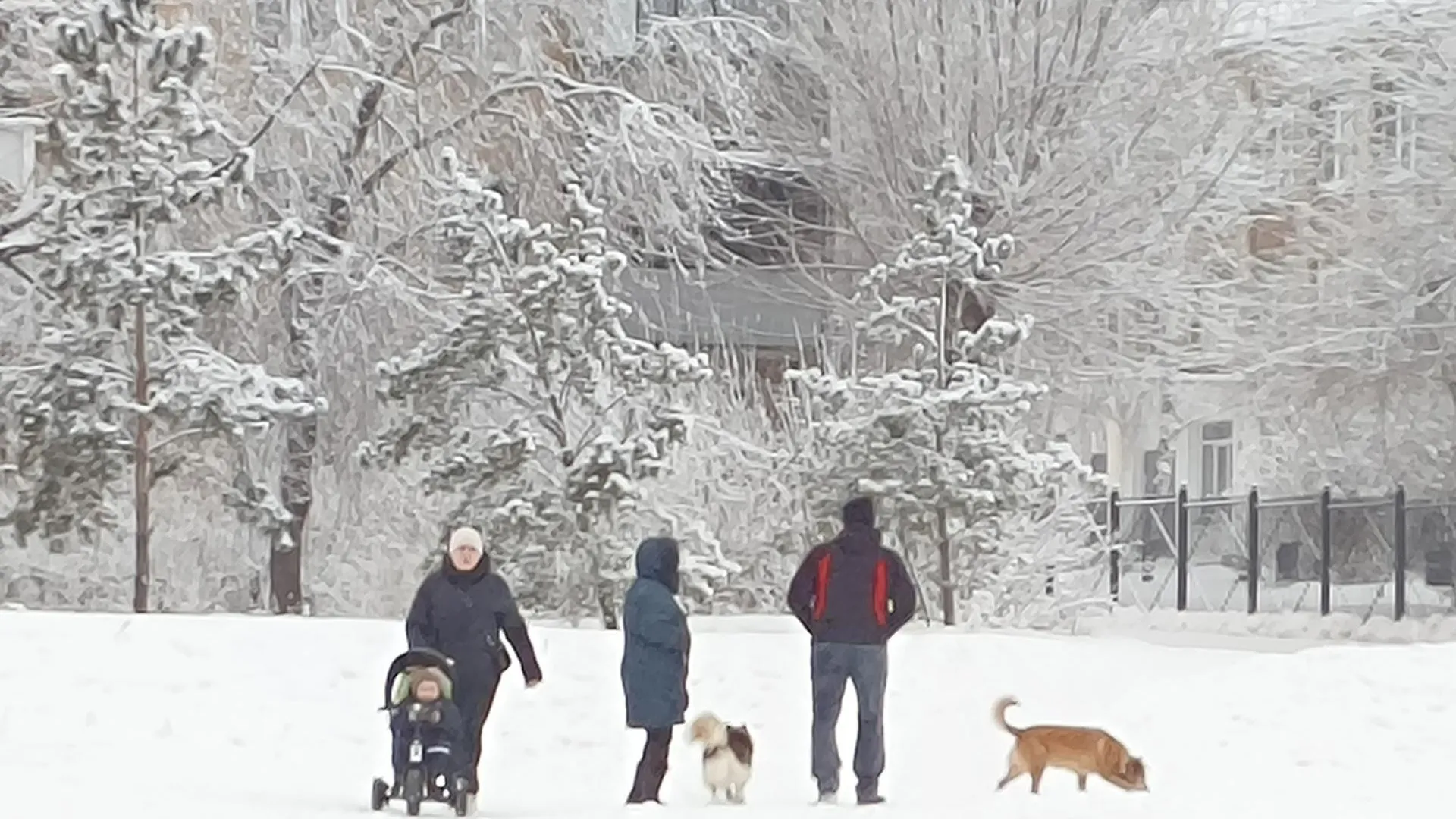 предоставлено собеседницей