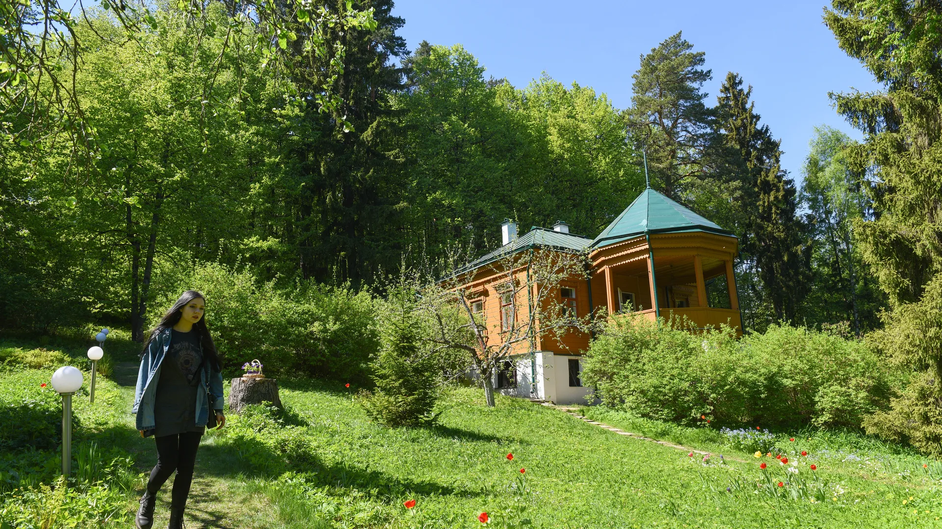 Картинка