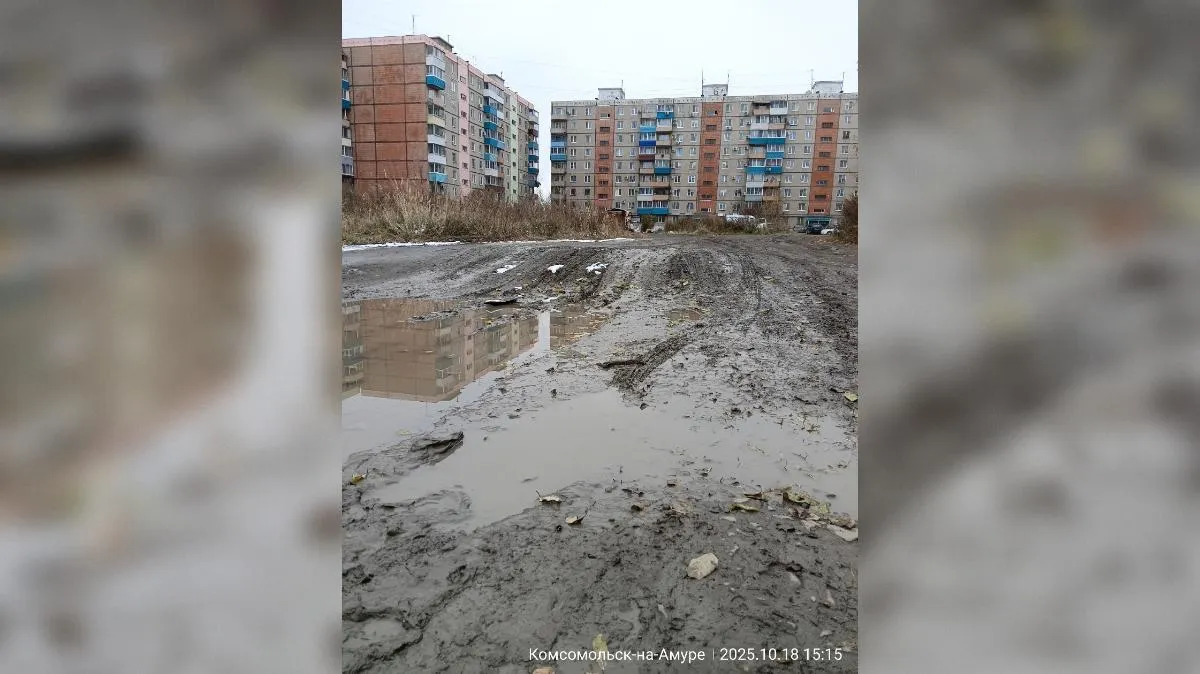 предоставлено собеседником