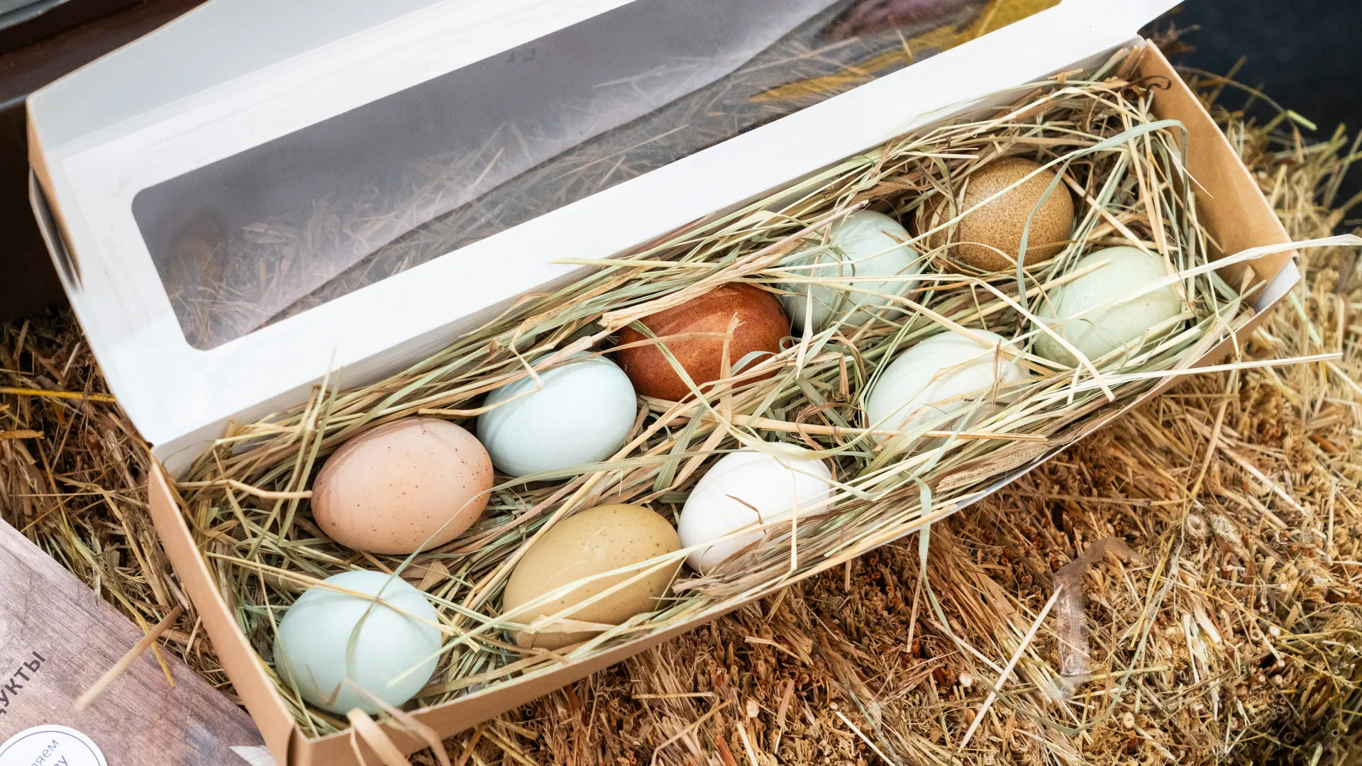 Сырный фестиваль в Истре посетили более 120 тысяч человек