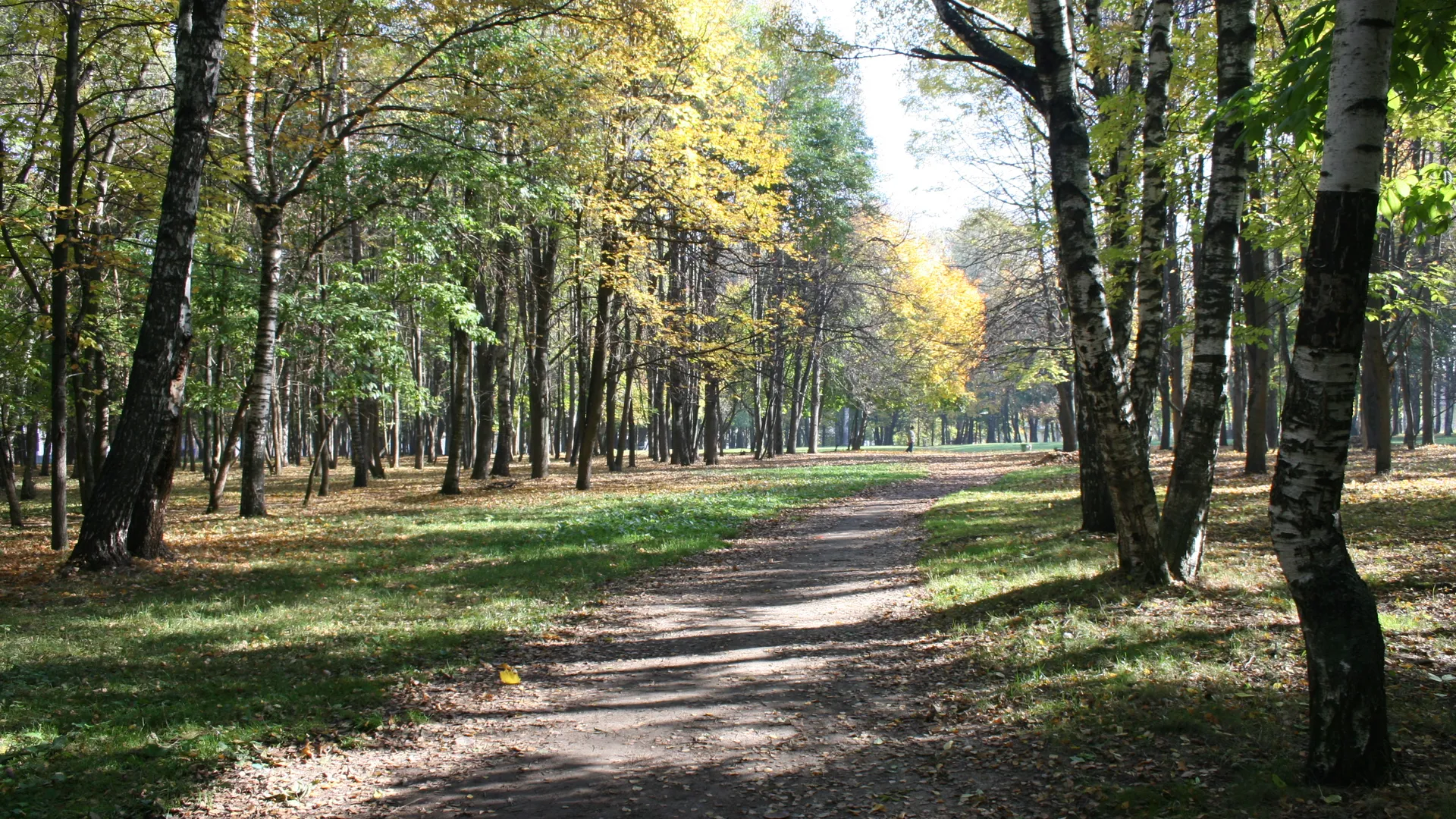 Медиасток.рф