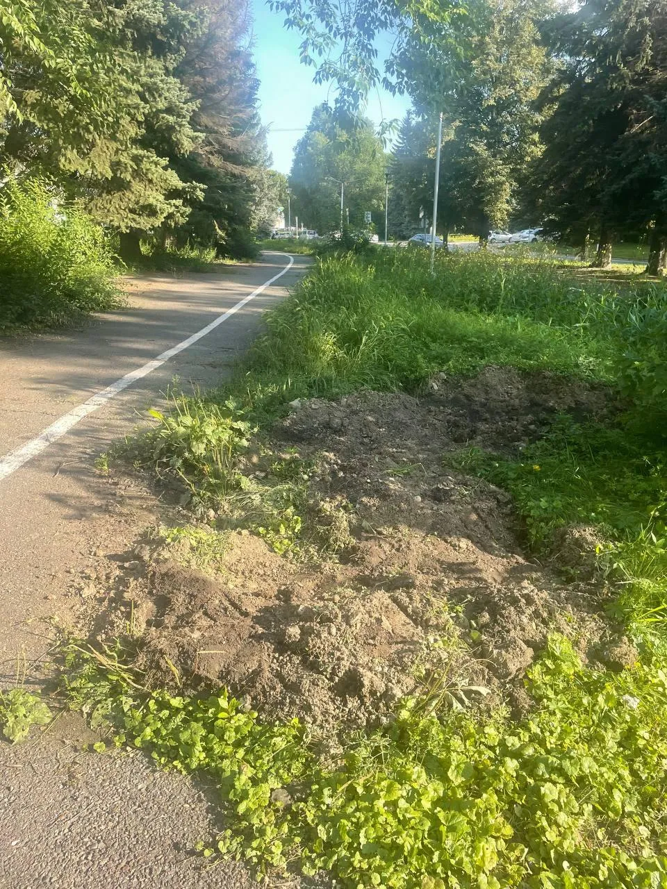 «СтальМедиа»