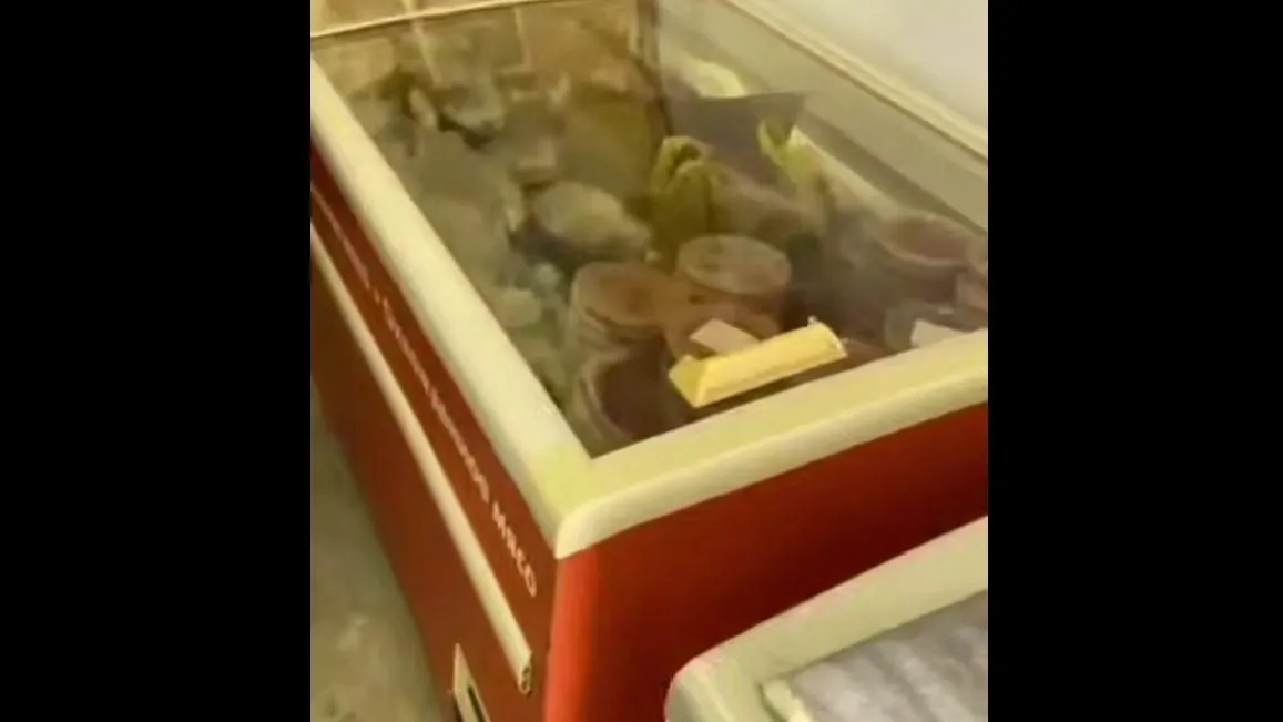 скриншот УМВД России по городу-герою Новороссийску