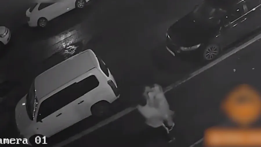 Скриншот видео, официальный представитель МВД России Ирина Волк