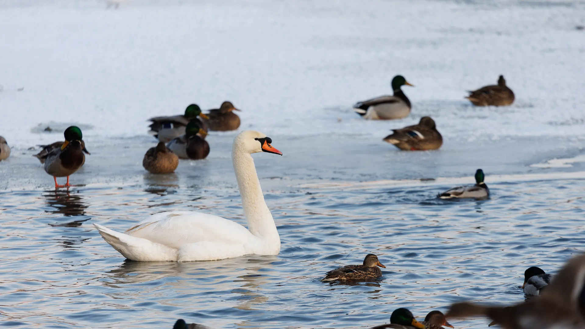 Медиасток.рф