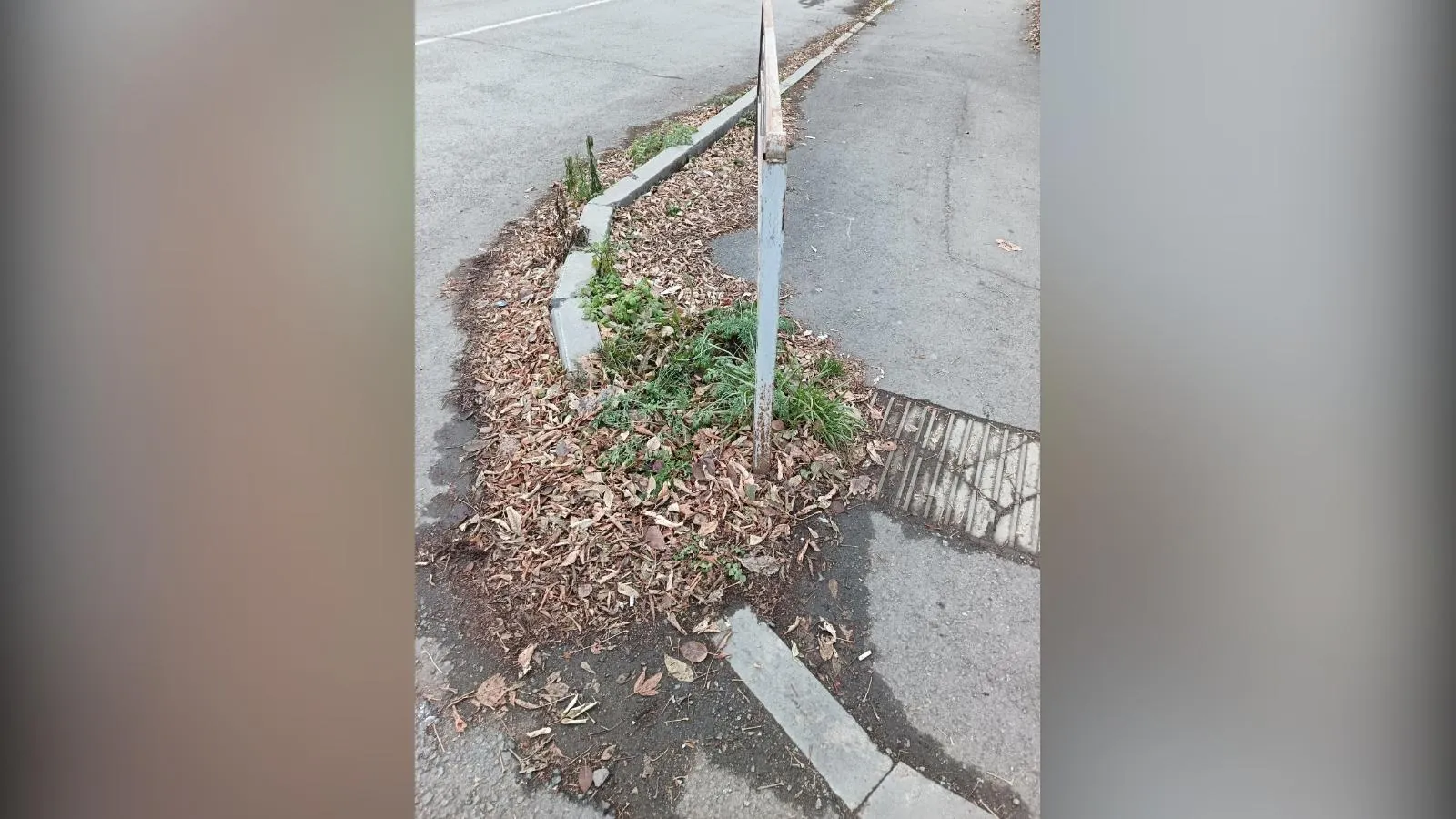 предоставлено собеседницей