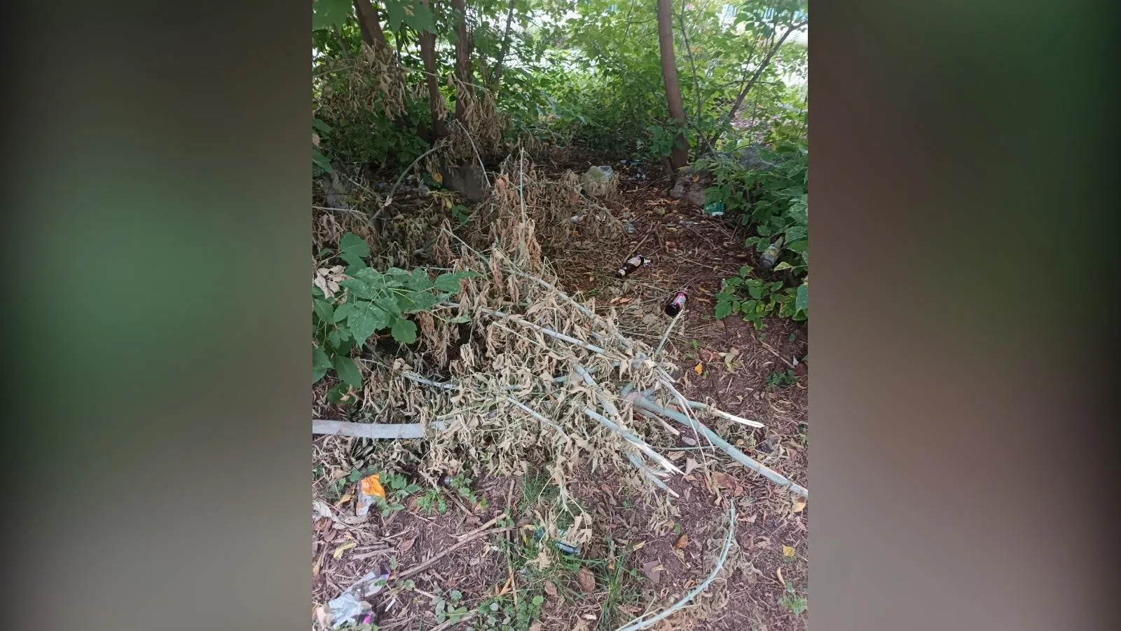 предоставлено собеседницей