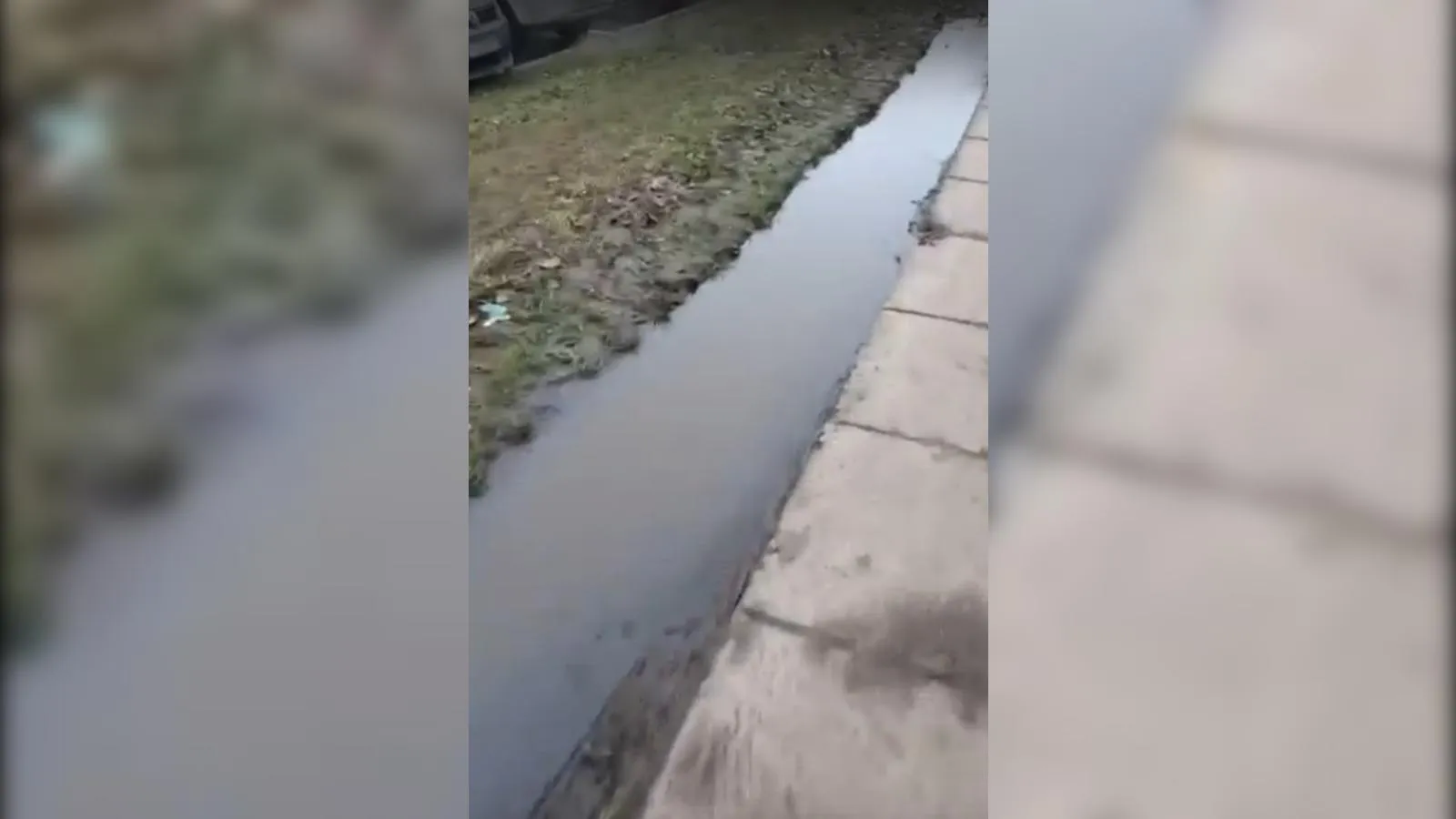 кадр видео, предоставленного собеседницей