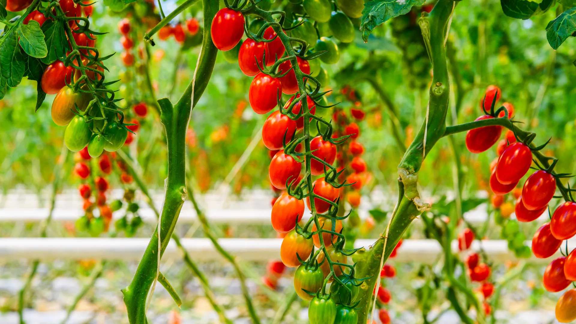 Медиасток.рф