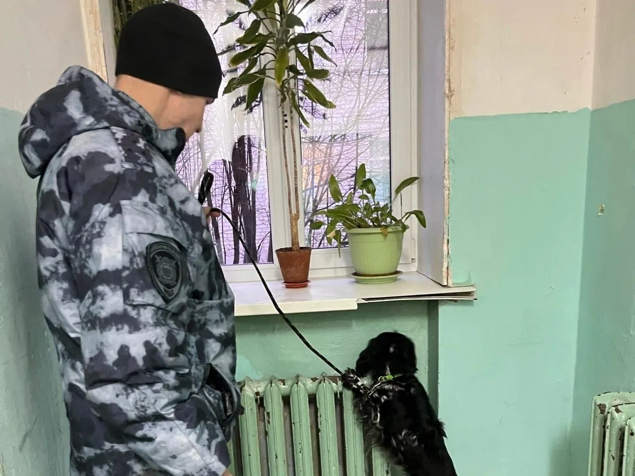 Пресс-служба ГУ МВД РФ по Вологодской области