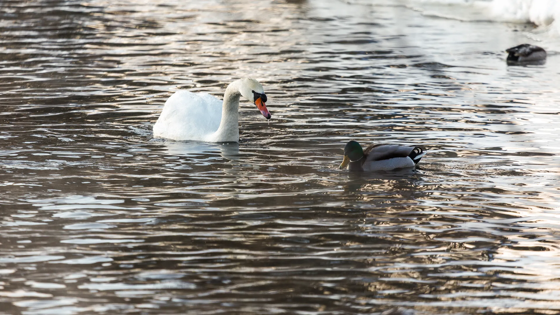 Медиасток.рф