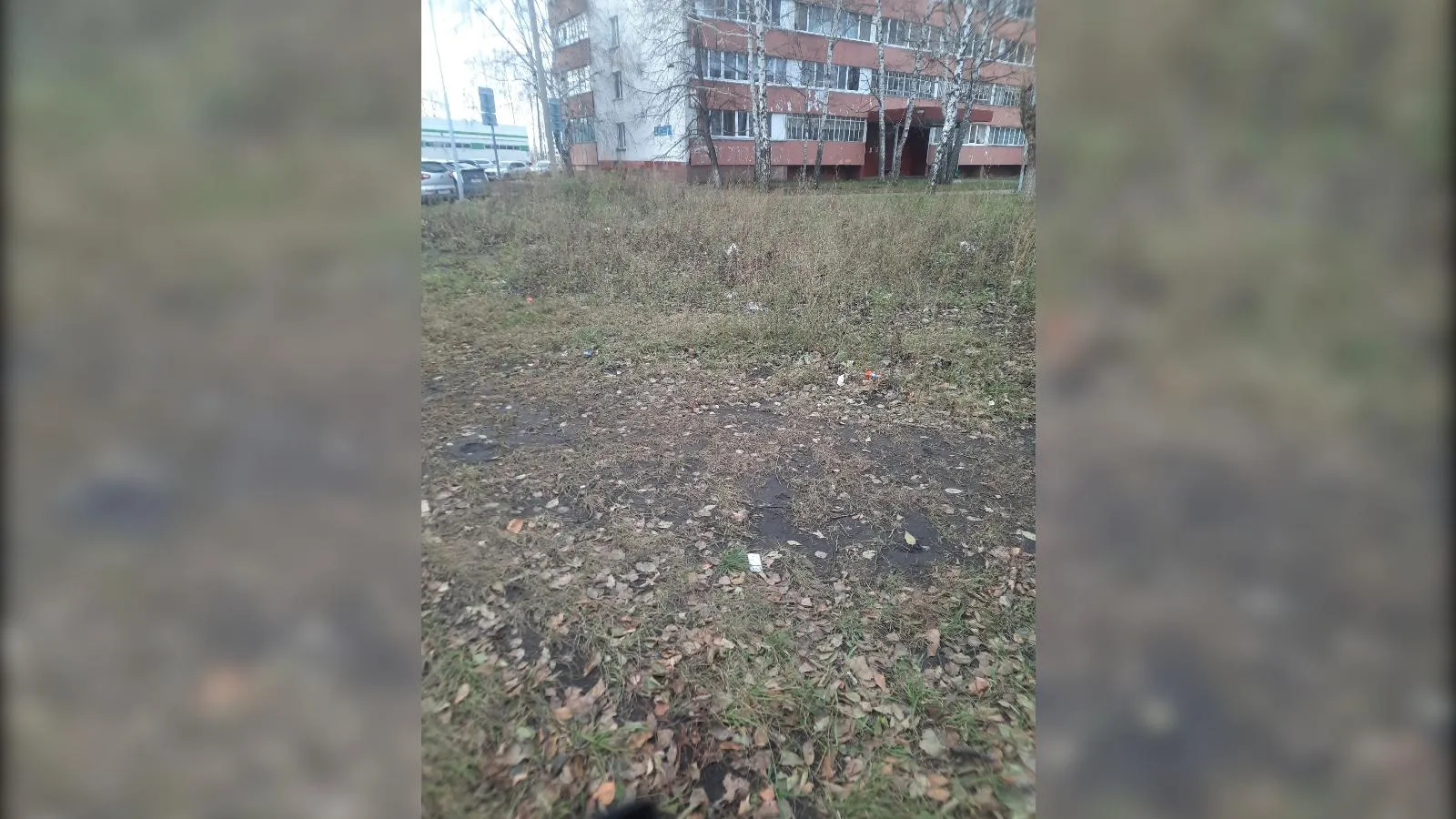 предоставлено собеседницей