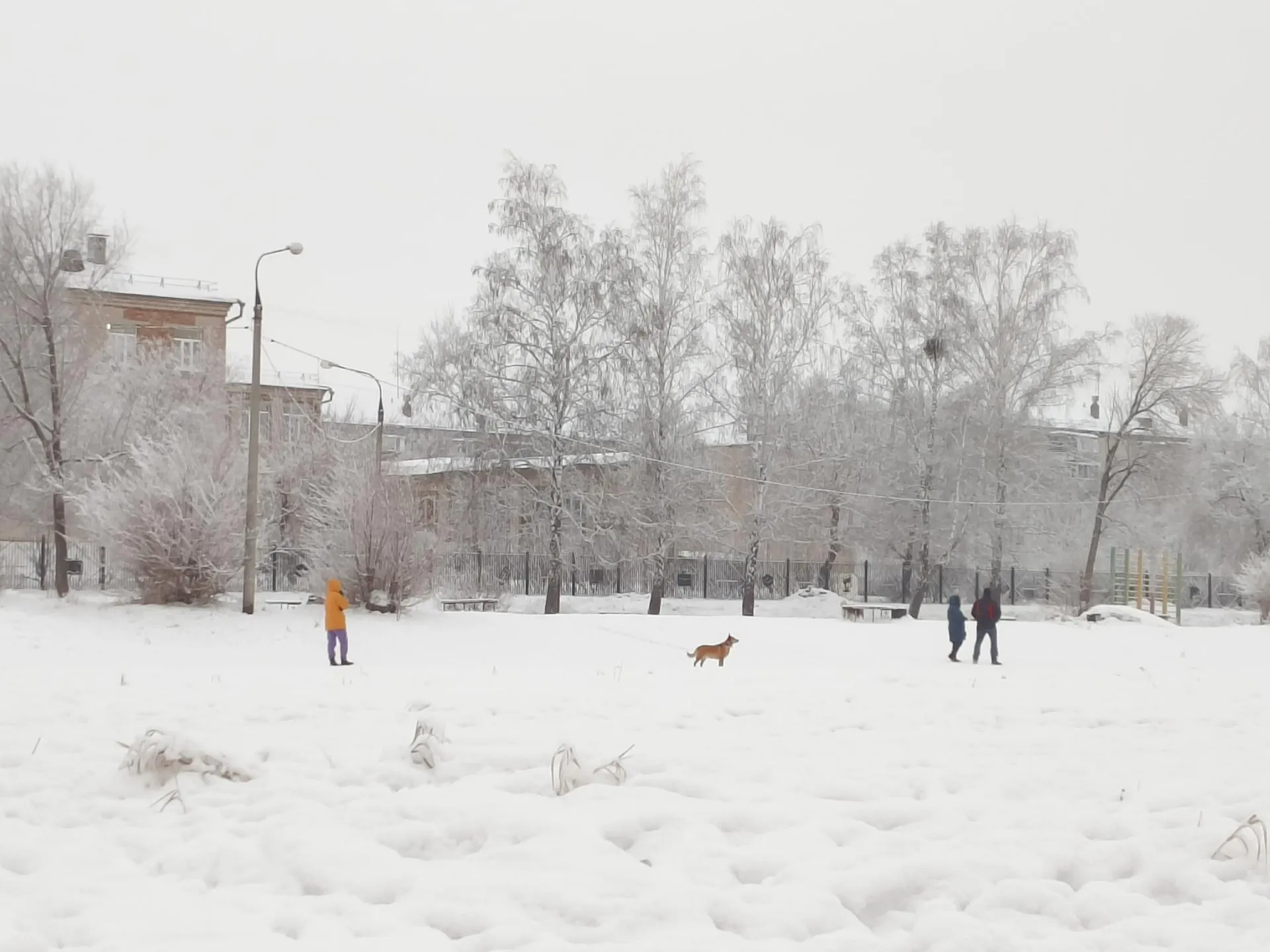 предоставлено собеседницей